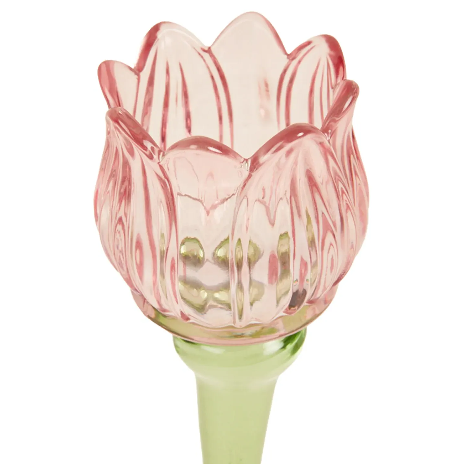 Tall Tulip Glass Tealight Holder - Multicolour