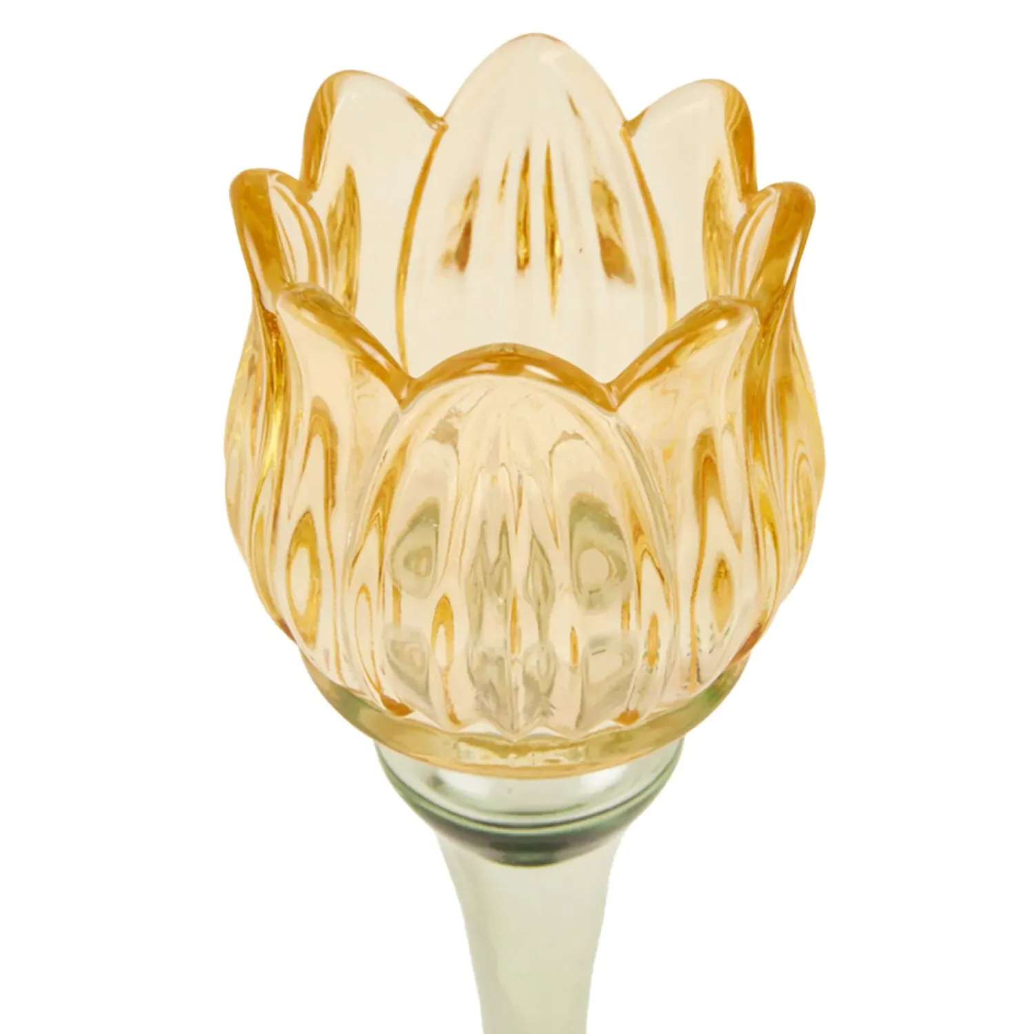 Tall Tulip Glass Tealight Holder - Multicolour