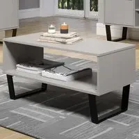 Texas Open Coffee Table with Storage - Grey, Pine