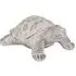 Thomas Turtle Ornament - Stone