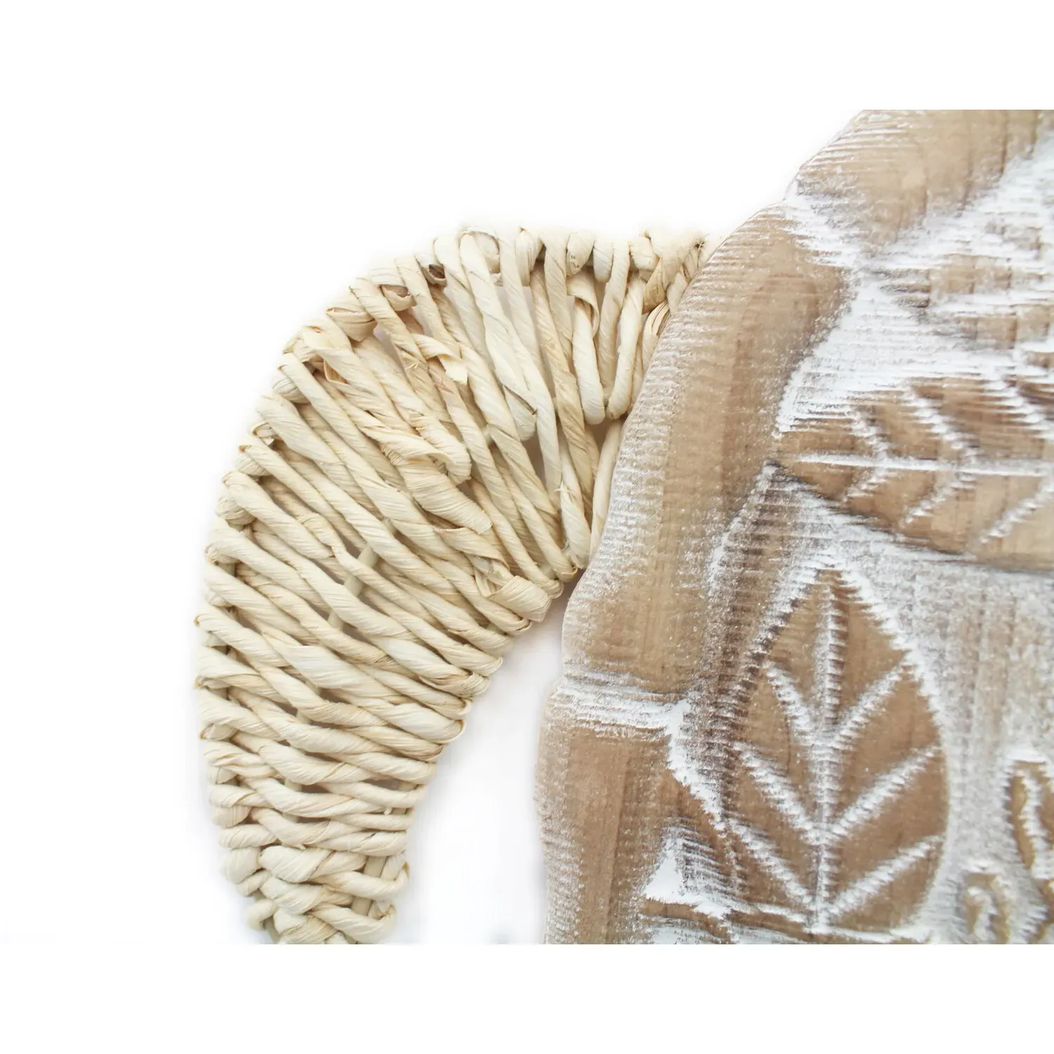 Tilly the Turtle Carved Wooden Wall Art - Natural