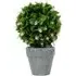 Topiary Ball in Grey Pot