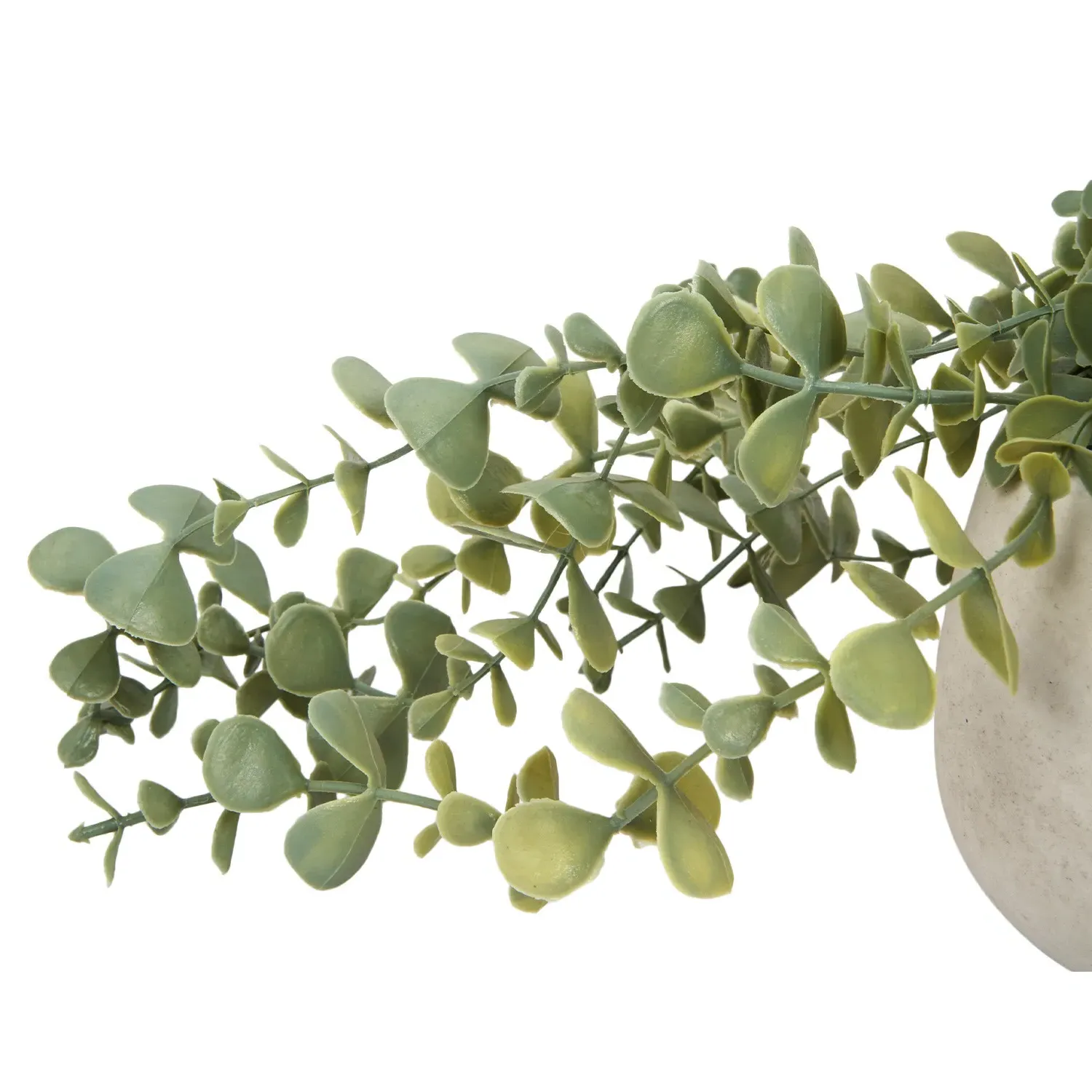 Trailing Eucalyptus in Wash Pot - Green