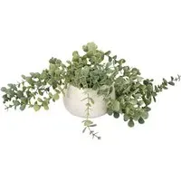 Trailing Eucalyptus in Wash Pot - Green