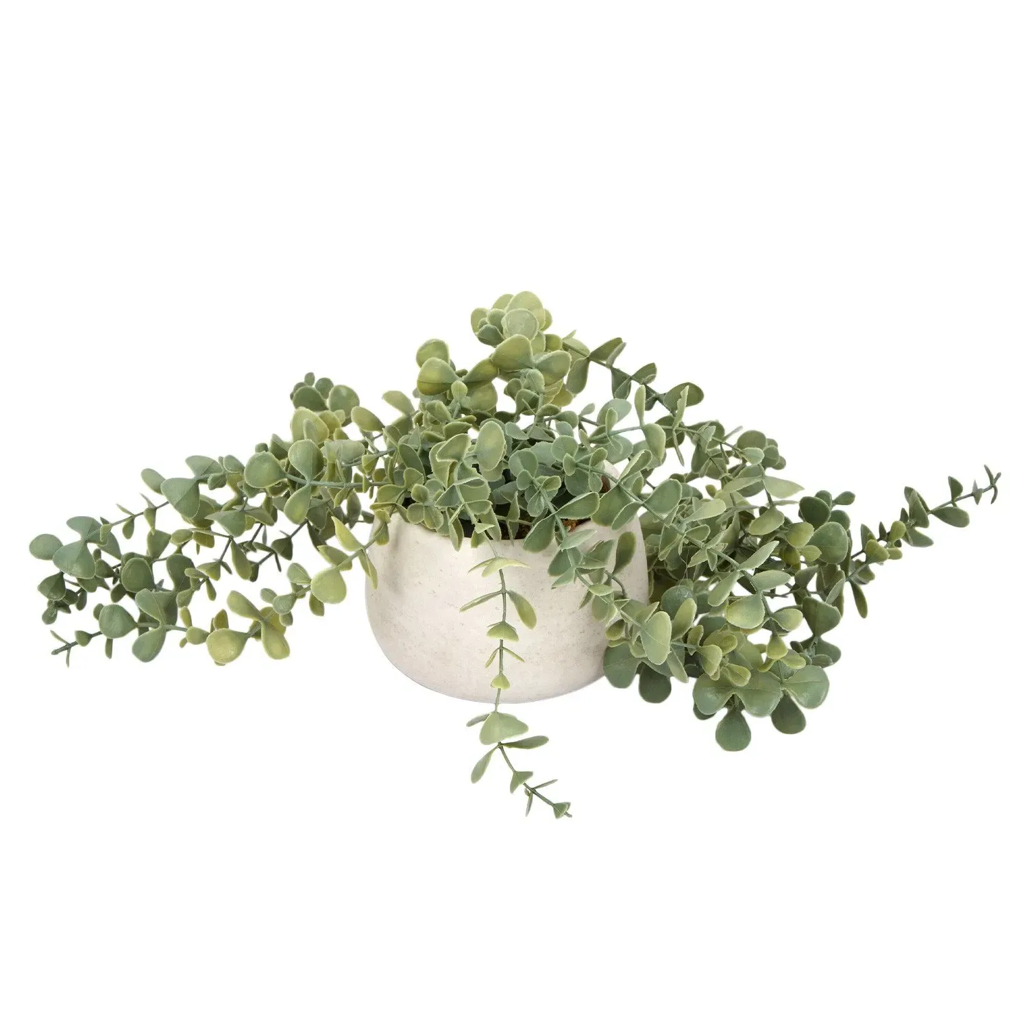 Trailing Eucalyptus in Wash Pot - Green image
