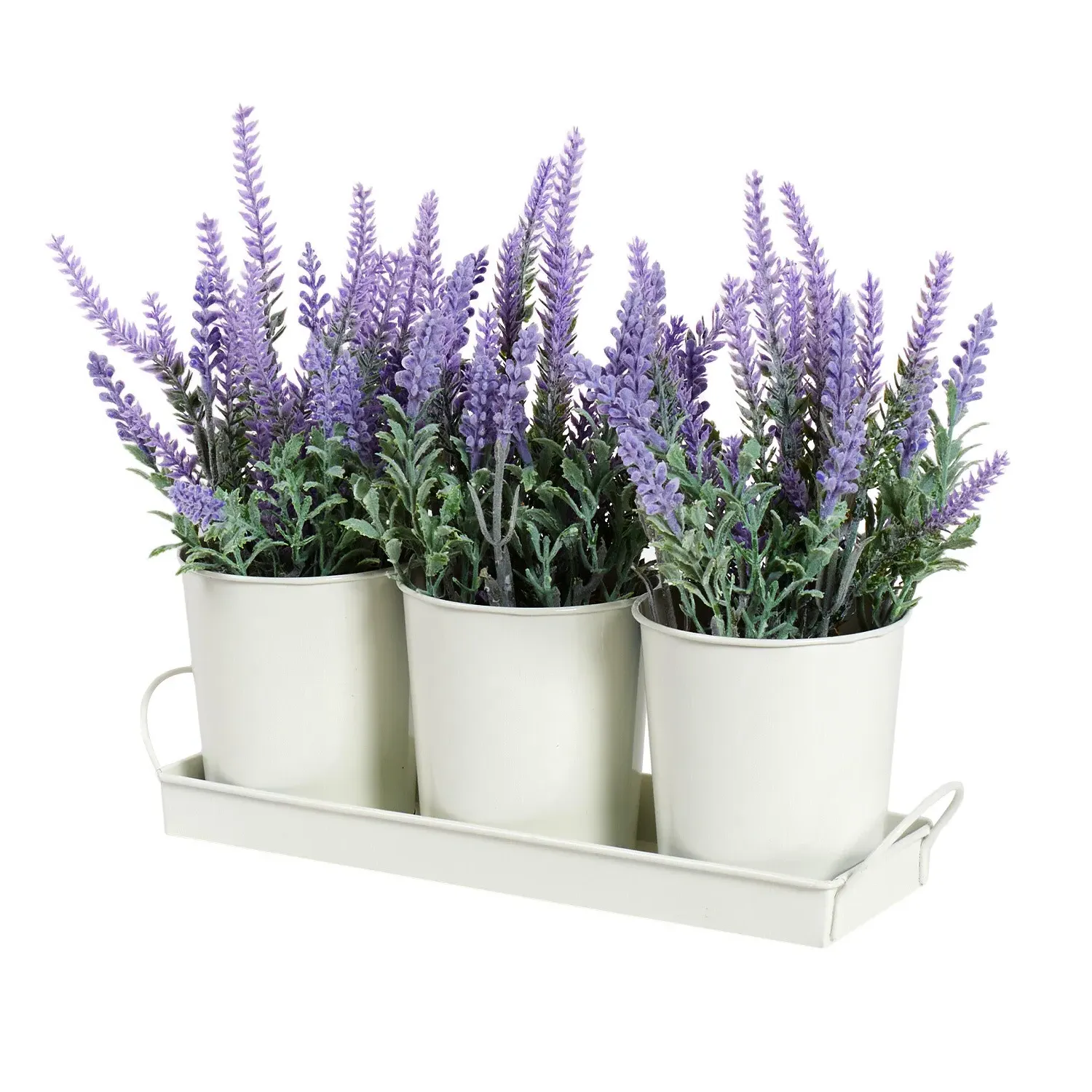 Trio of Lavender in Tray - Purple
