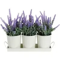 Trio of Lavender in Tray - Purple