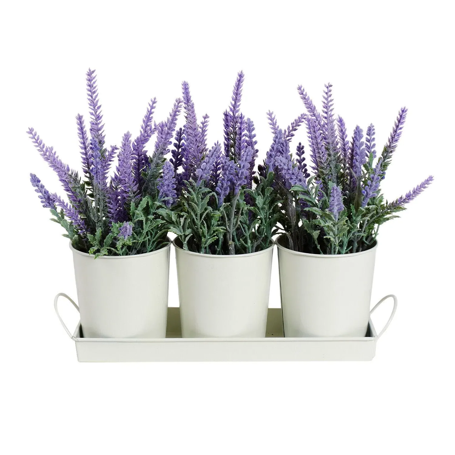 Trio of Lavender in Tray - Purple