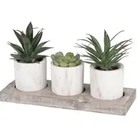 Triple Mini Succulent Artificial Plants - Wooden Tray