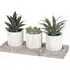 Triple Mini Succulent Artificial Plants - Wooden Tray