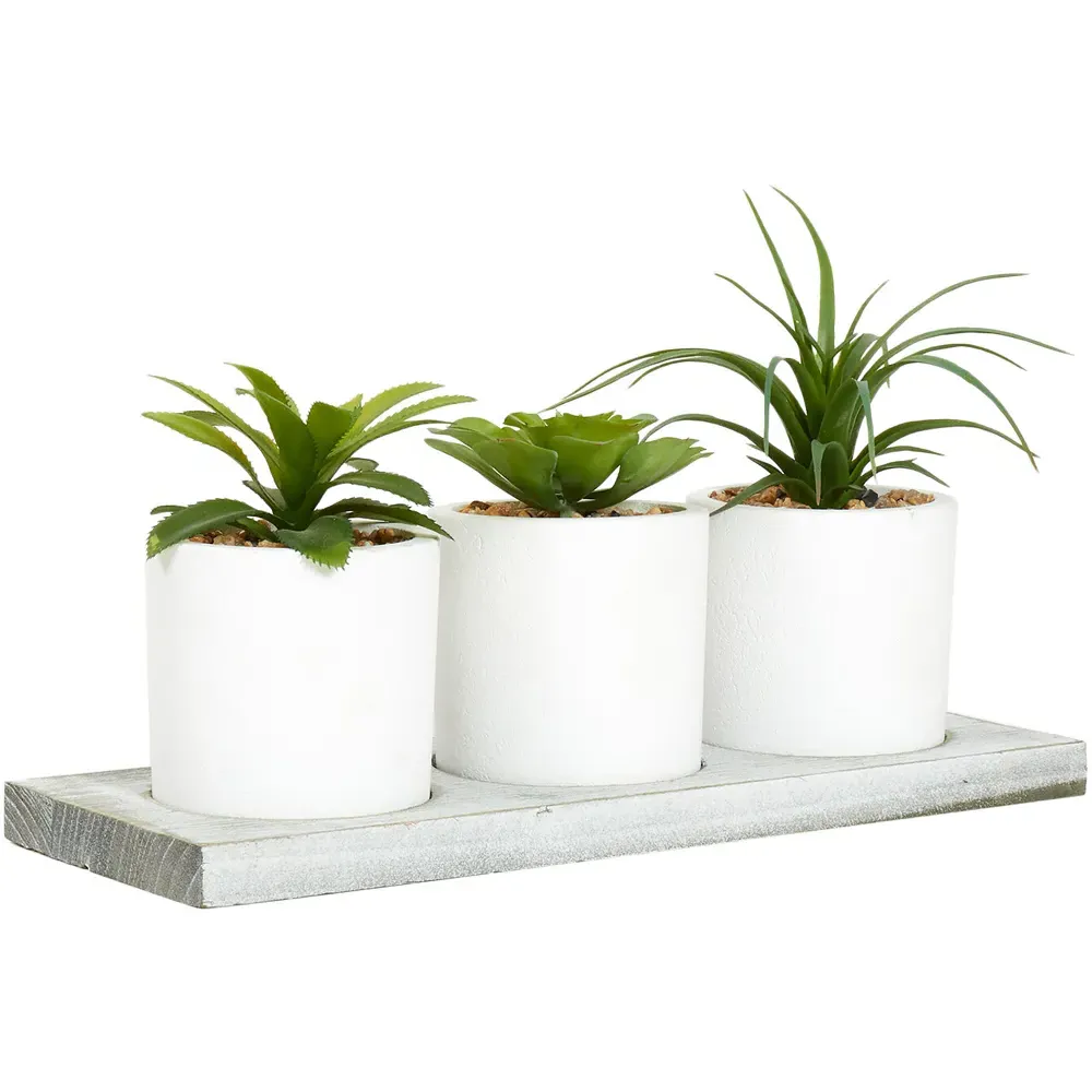 Triple Mini Succulent Set with Tray - White
