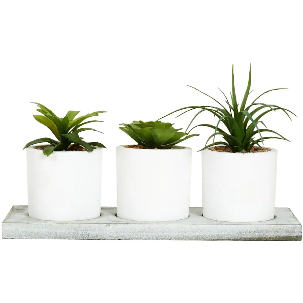 Triple Mini Succulent Set with Tray - White