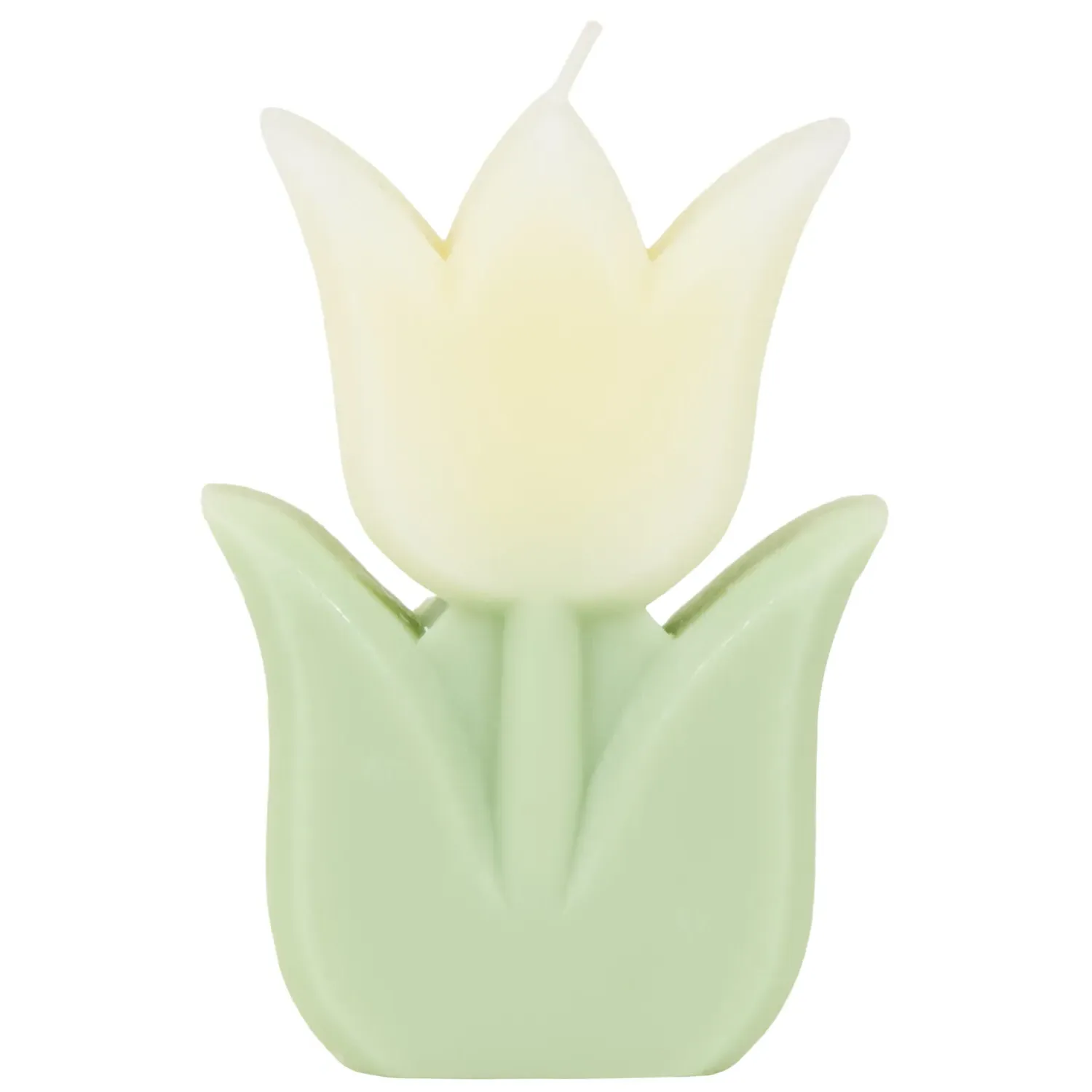 Tulip Candle - Multicolour