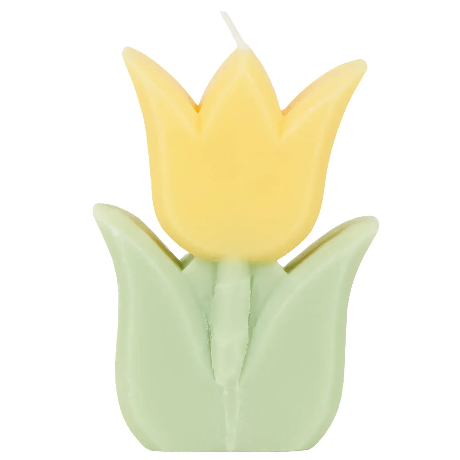 Tulip Candle - Multicolour