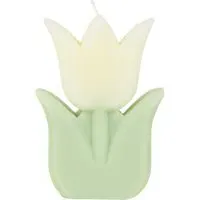 Tulip Candle - Multicolour