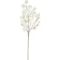 Velvet Eucalyptus Spray - Cream