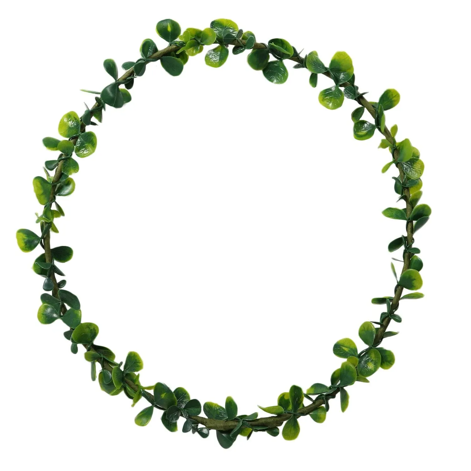 Vine Wreath Base - Green image
