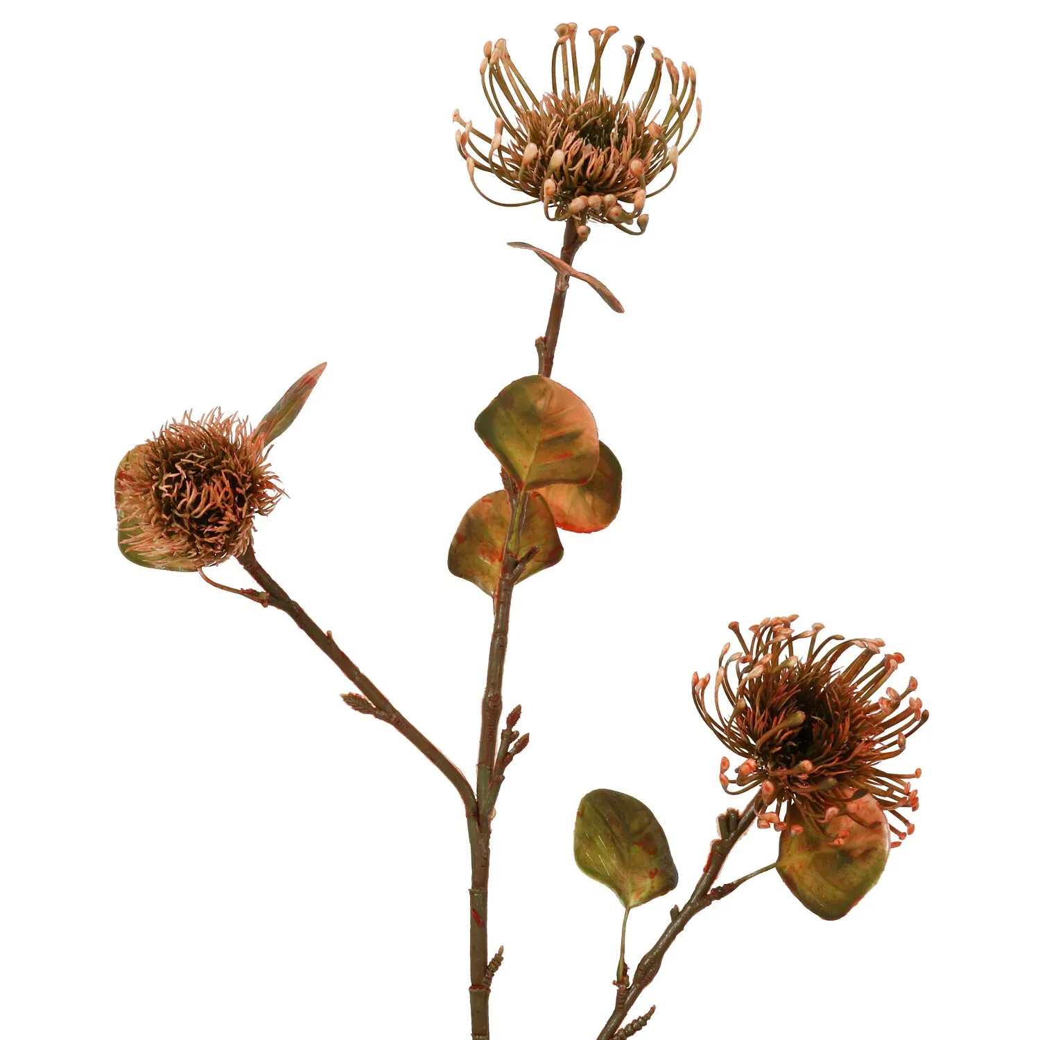 Warm Honey Thistle Stem - Orange