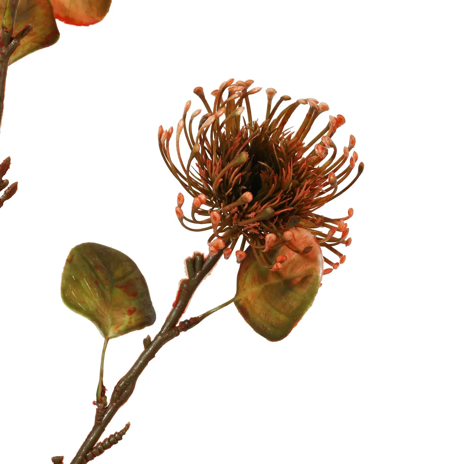 Warm Honey Thistle Stem - Orange