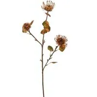 Warm Honey Thistle Stem - Orange