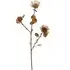 Warm Honey Thistle Stem - Orange