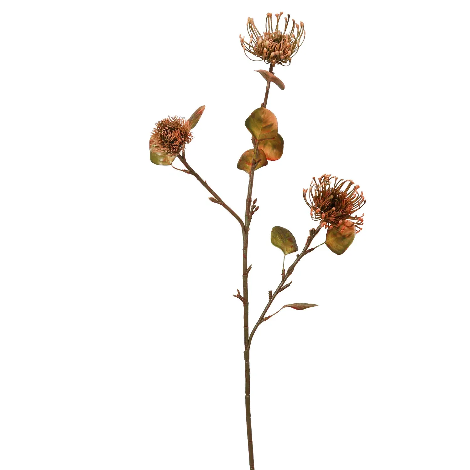 Warm Honey Thistle Stem - Orange image