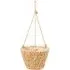Water Hyacinth Hanging Planter - Brown