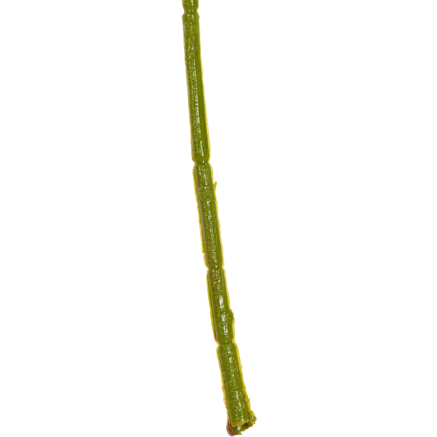 White Berry Single Stem Artificial Flower - White