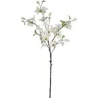 White Dogwood Branch - White