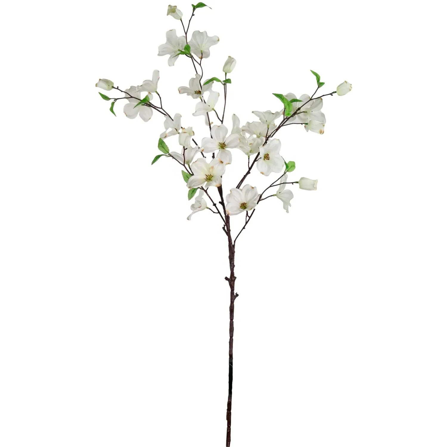White Dogwood Branch - White image