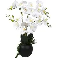 White Orchid in Pot with Succulent Artificial Plant
