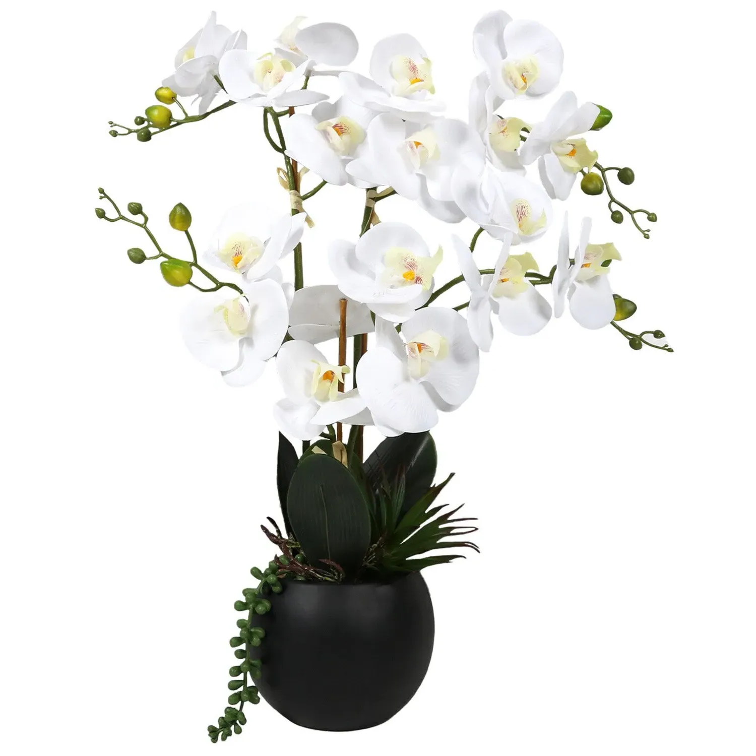 White Orchid in Pot with Succulent Artificial Plant
