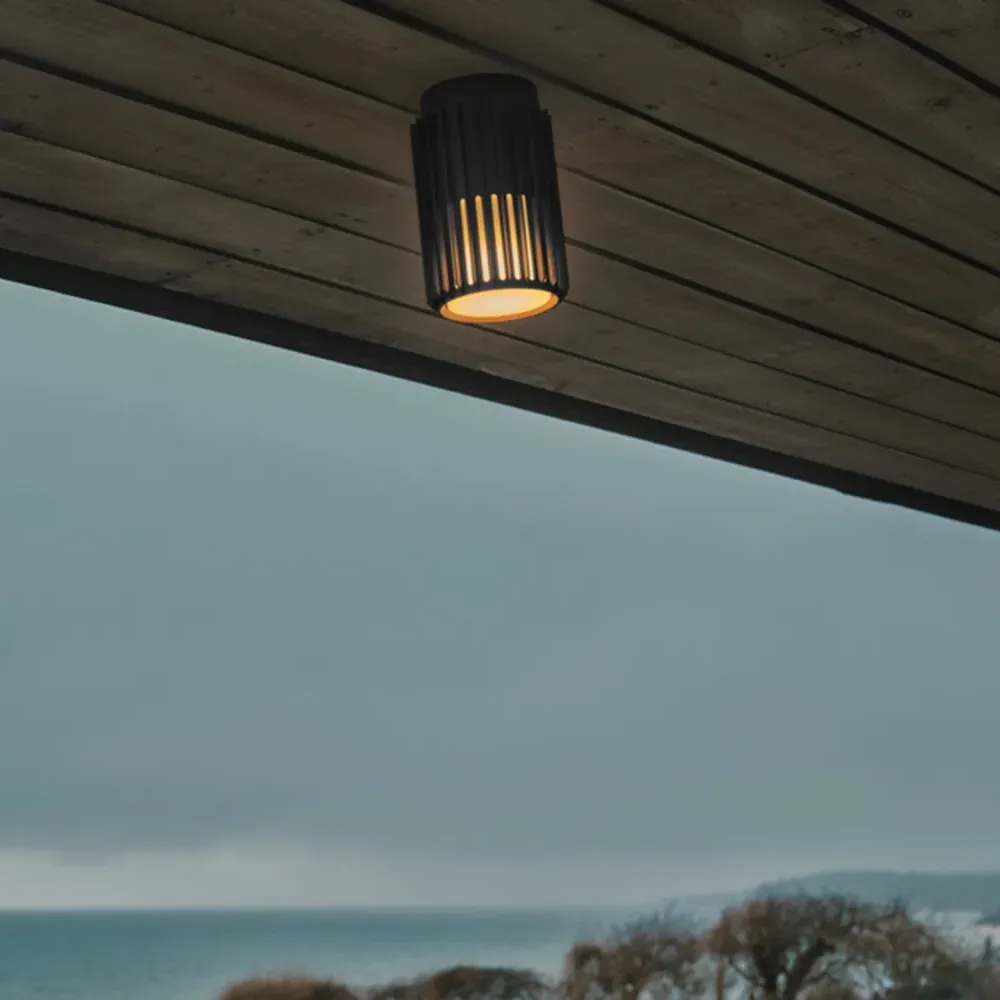 Aludra Seaside Ceiling Light - Black