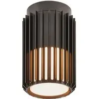Aludra Seaside Ceiling Light - Black