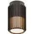 Aludra Seaside Ceiling Light - Black