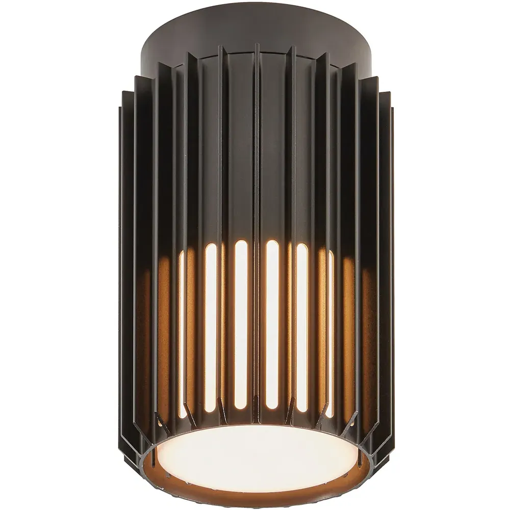 Aludra Seaside Ceiling Light - Black image