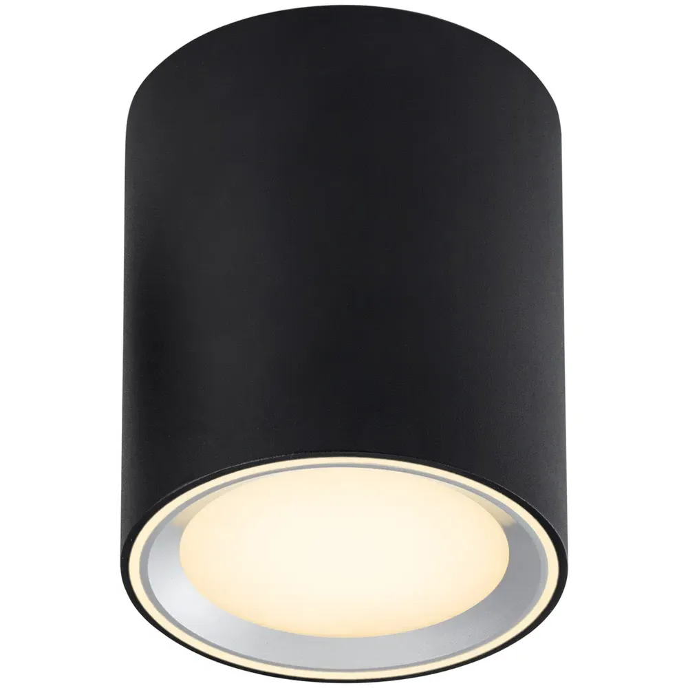 Fallon Long Surface Downlight - Black, Steel
