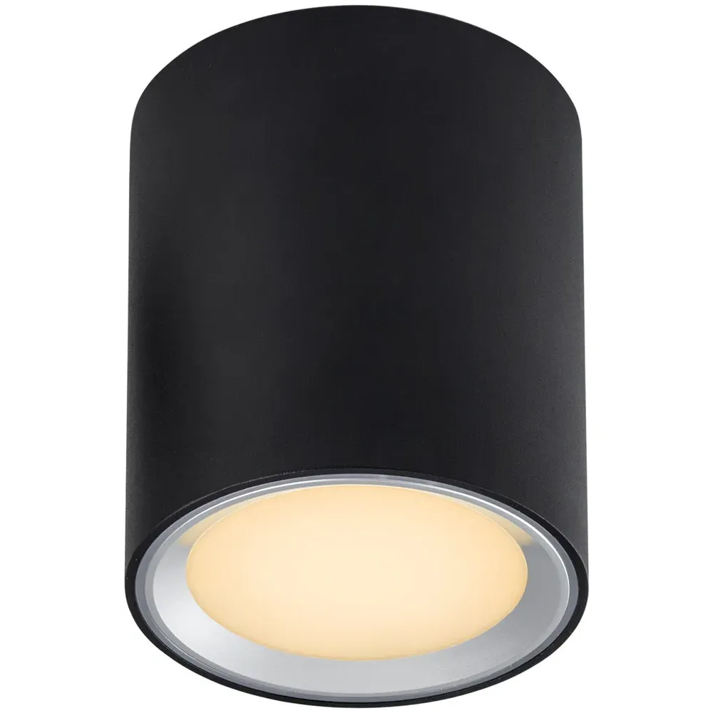 Fallon Long Surface Downlight - Black, Steel