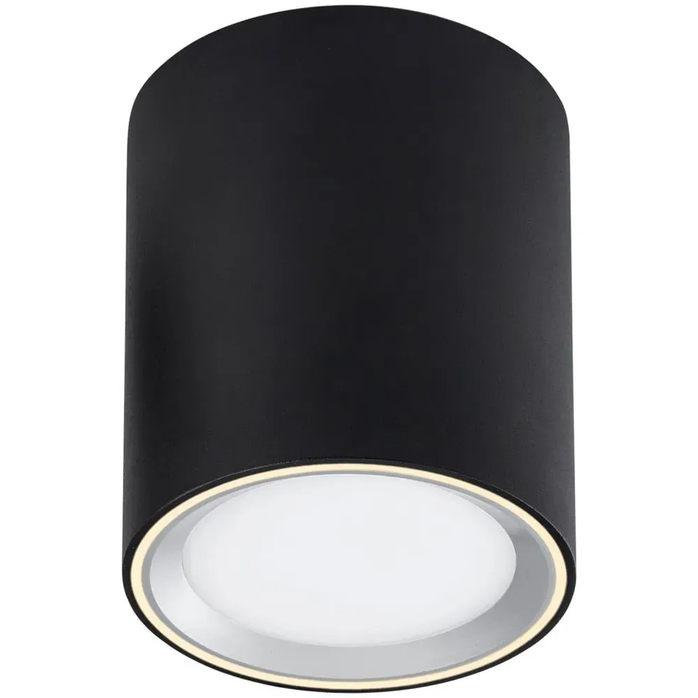 Fallon Long Surface Downlight - Black, Steel