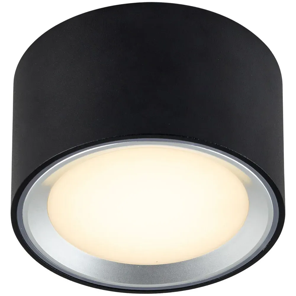 Fallon Surface Downlight - Black, Steel