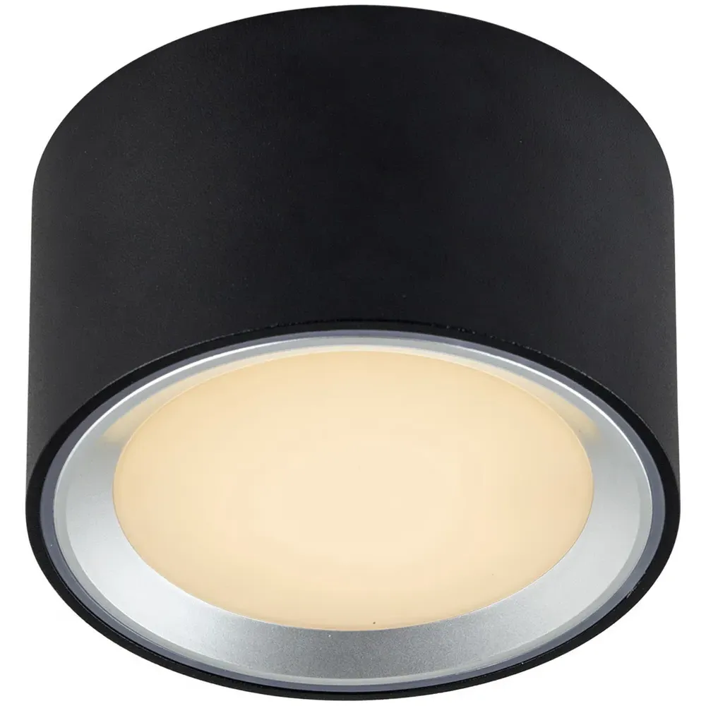 Fallon Surface Downlight - Black, Steel