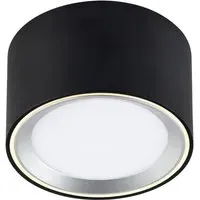 Fallon Surface Downlight - Black, Steel