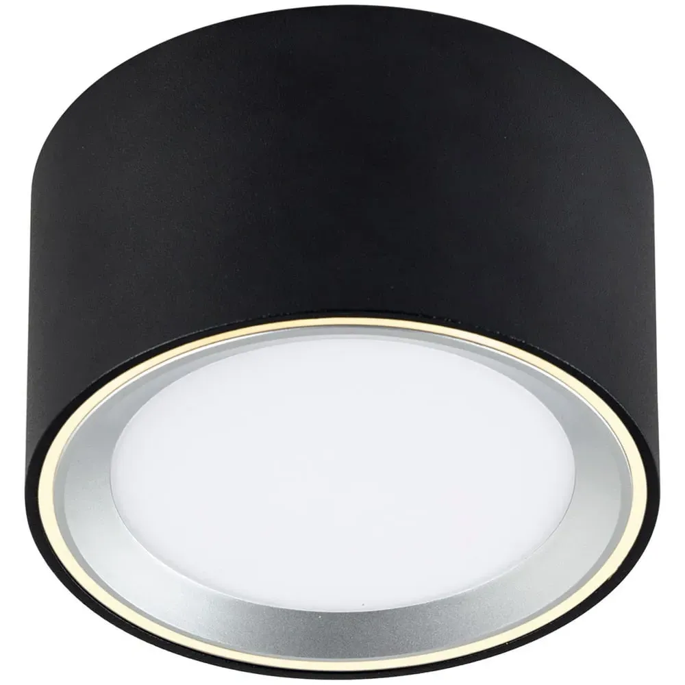 Fallon Surface Downlight - Black, Steel image