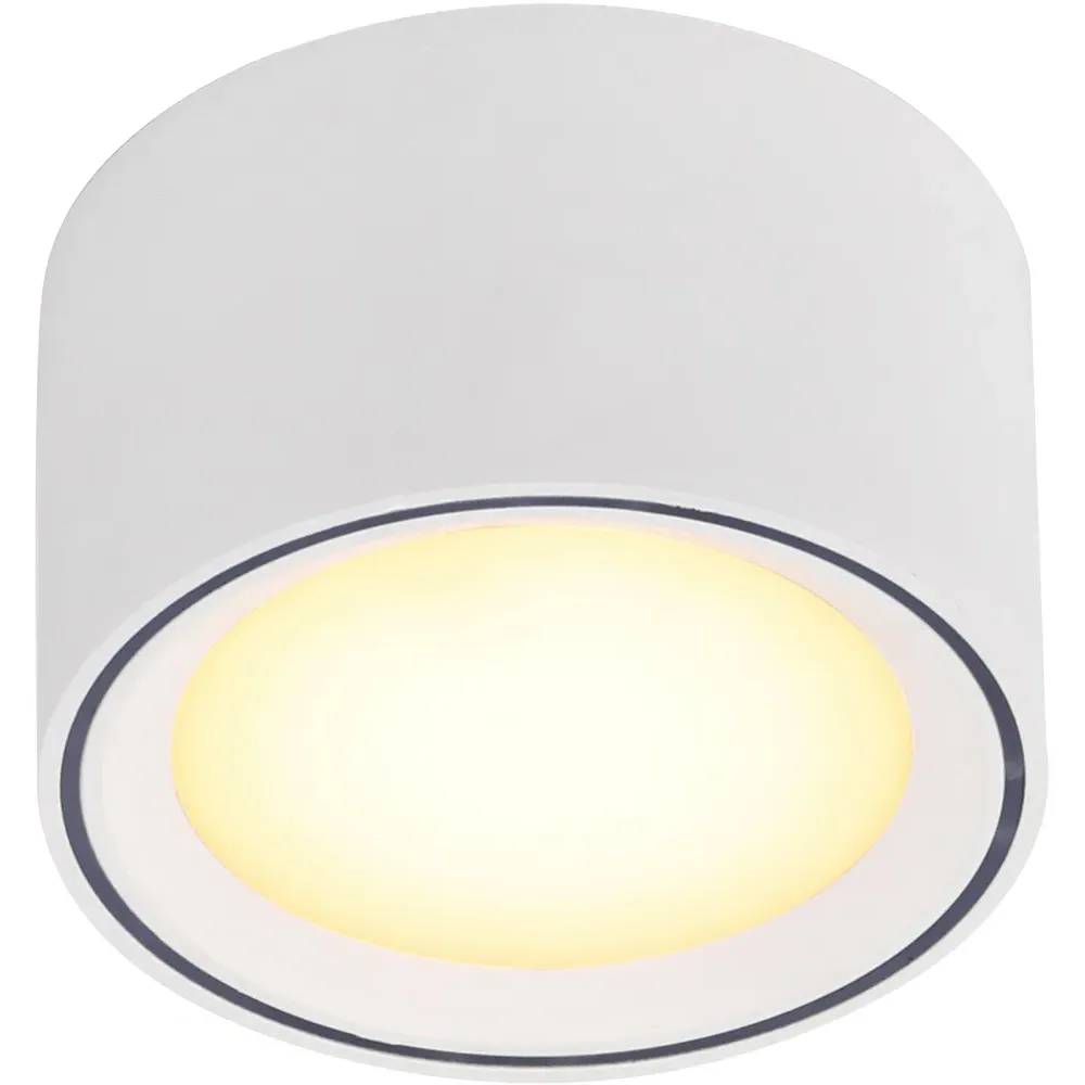 Fallon Surface Downlight with Moodmaker - White