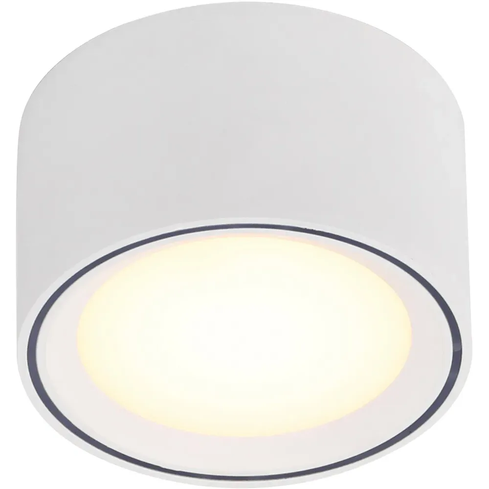 Fallon Surface Downlight with Moodmaker - White