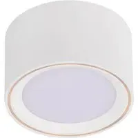 Fallon Surface Downlight with Moodmaker - White