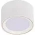 Fallon Surface Downlight with Moodmaker - White