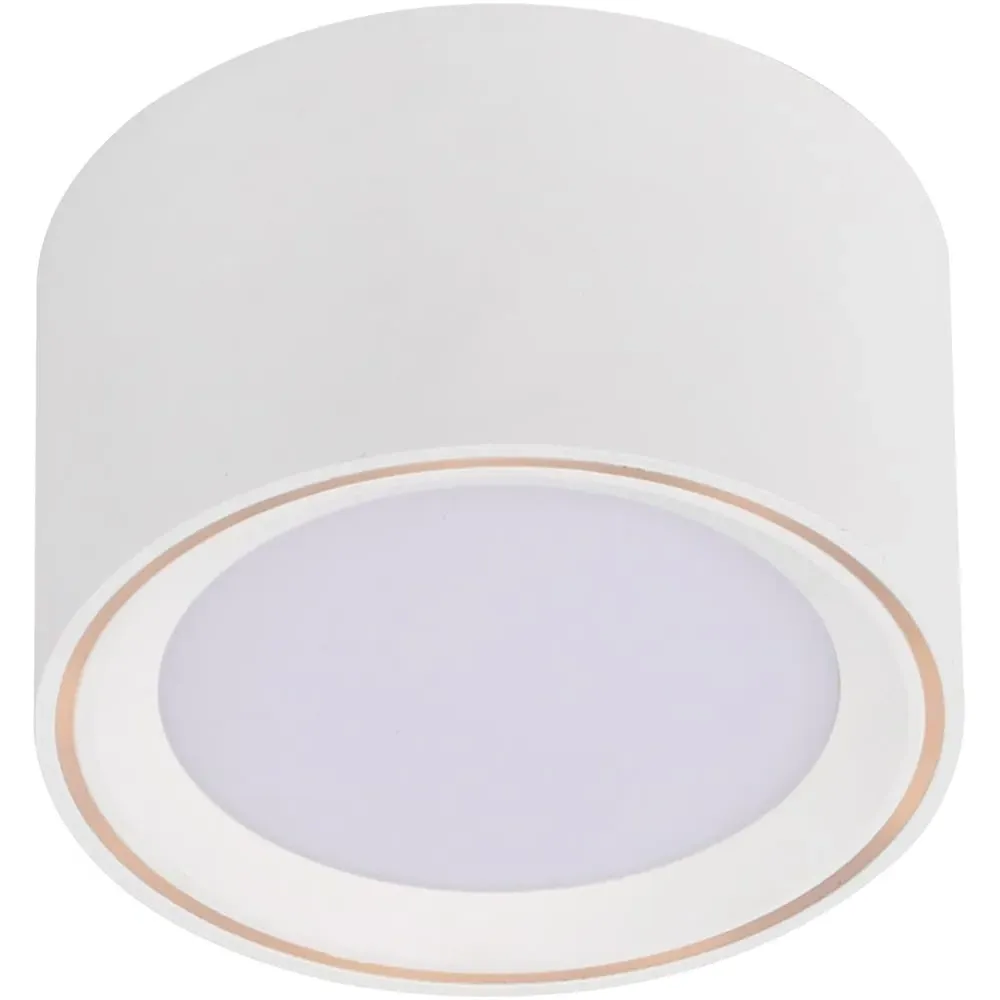 Fallon Surface Downlight with Moodmaker - White image