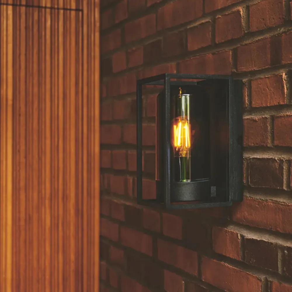 Griffin Smoked Wall Light - Black