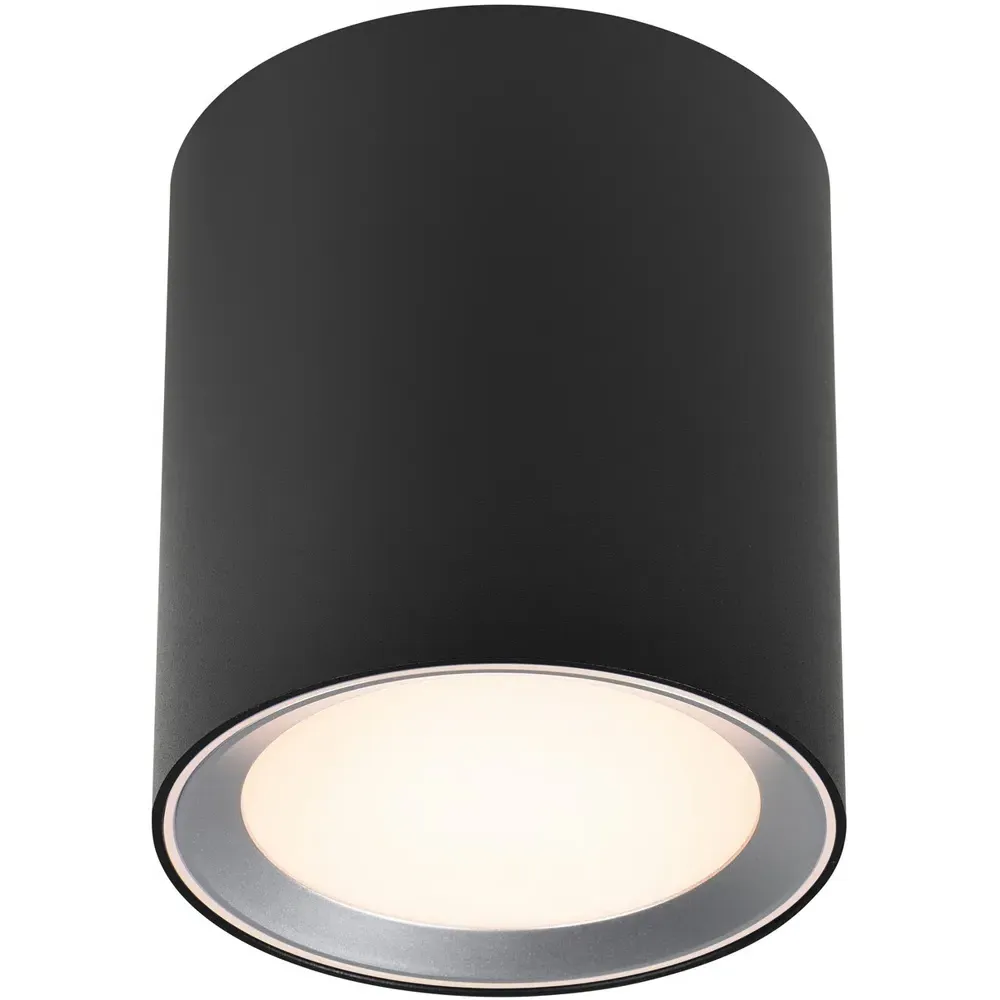 Landon 14 Surface-Mounted Downlight with Moodmaker - Black